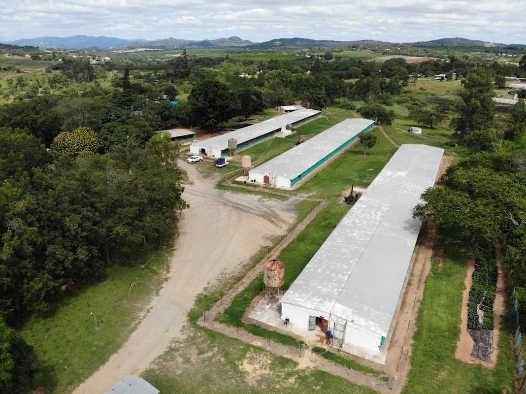 Plaston Chicken Farms in White River