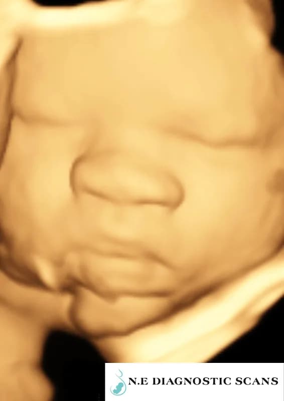 N.E Diagnostic Scans N.E DIAGNOSTIC SCANS in Lakefield