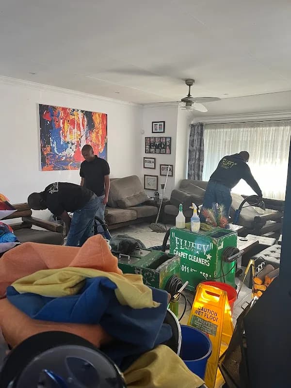 Fluffy Carpet Cleaners in Florida