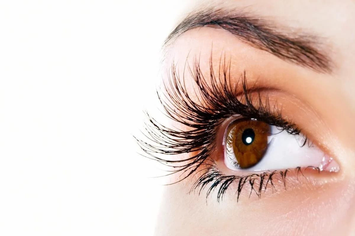 FabLash in Franschhoek