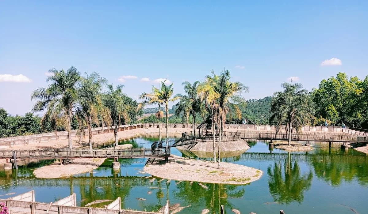 Agatha Crocodile Ranch in Haenertsburg