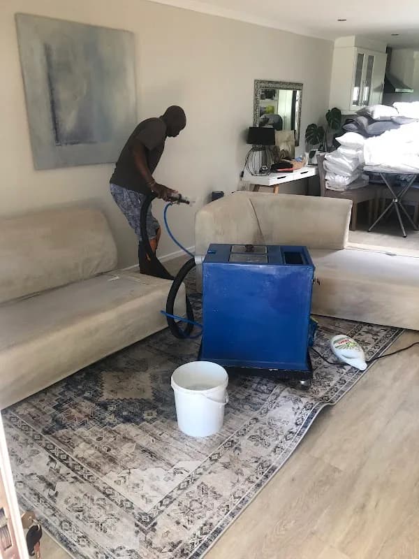 Grapevine Cleaning & Sanitizing in Tokai