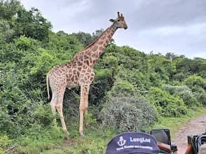 LangLoe Travel, Events & Consulting in Gonubie