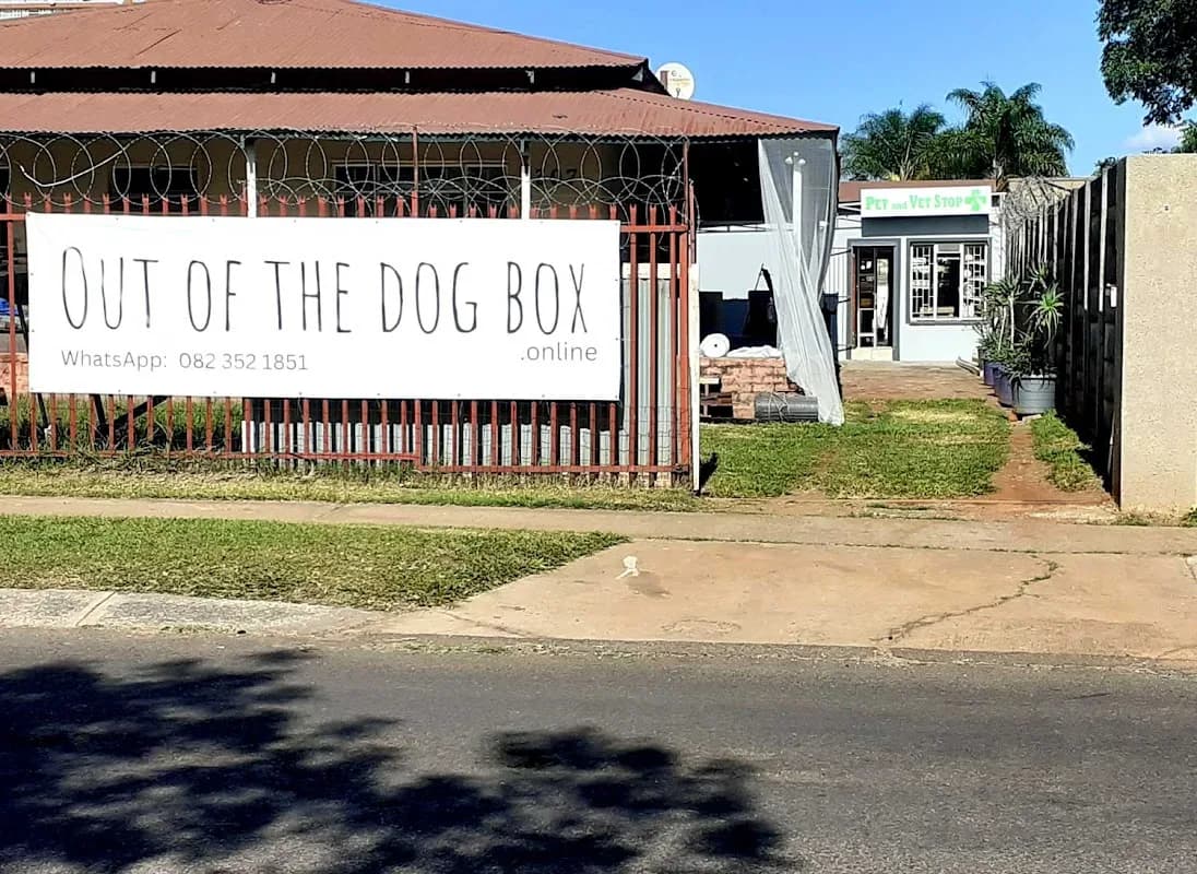 Out of the dog box in The Moot