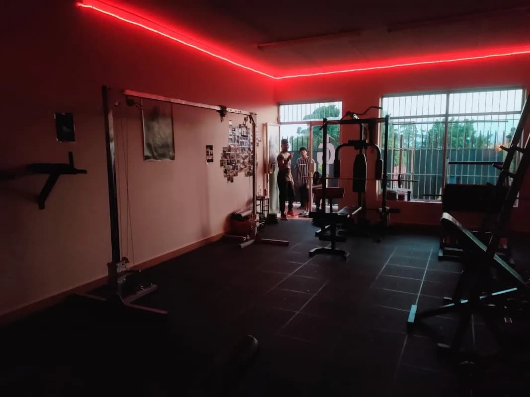 Gym Insanity in Northdale