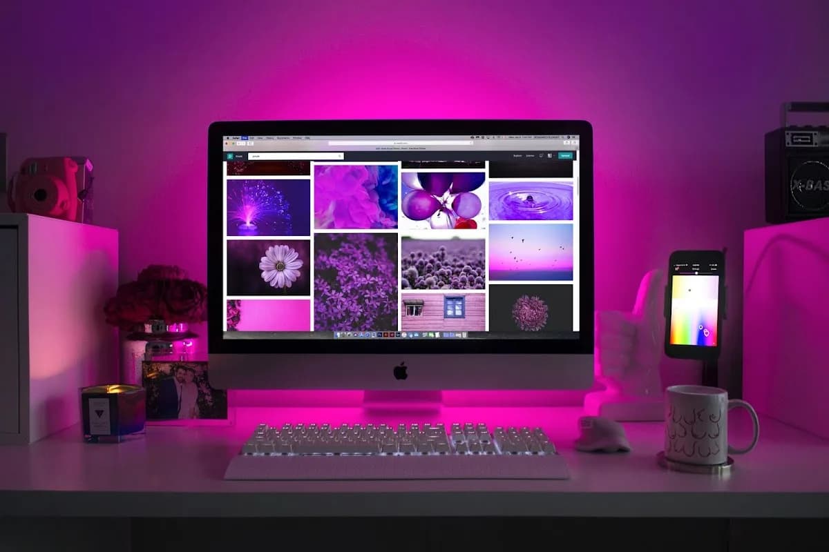 Web Konnect PTY LTD in Winnie Manthata