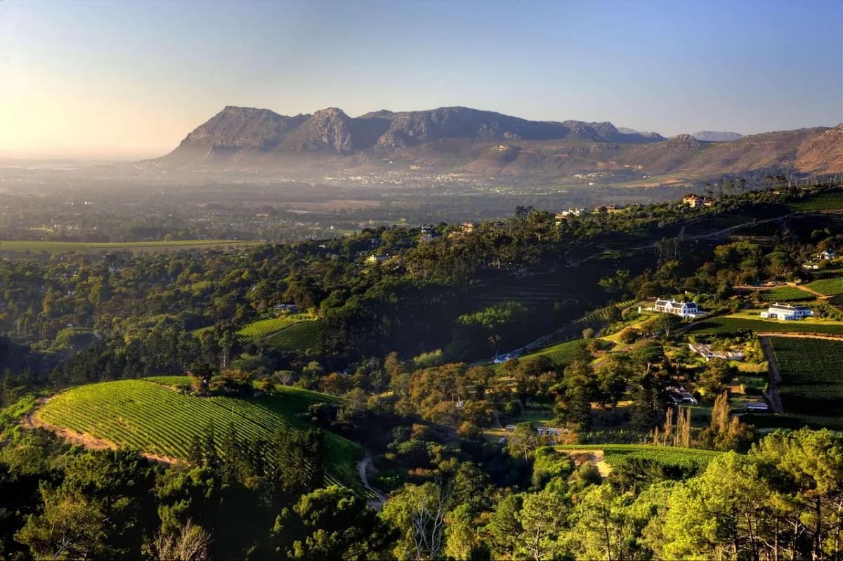 Parker Dermatology - Dermatologist & Hair Transplant Clinic in Constantia