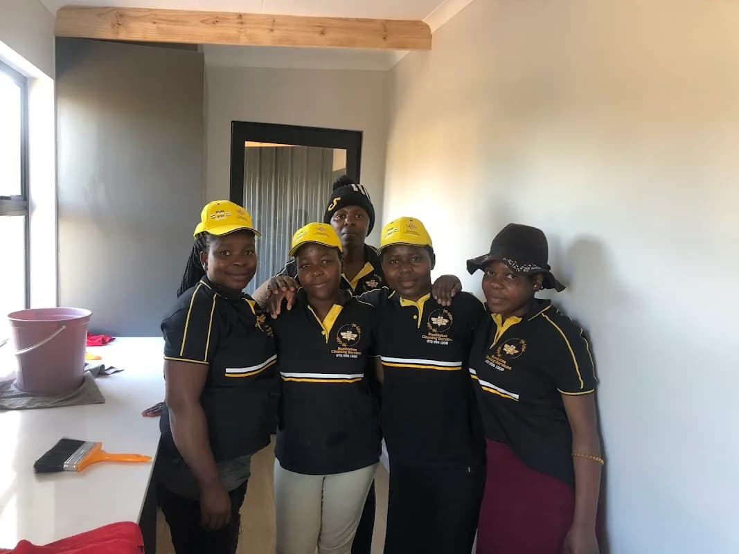 Bumblebee Cleaning Services in Gordon's Bay