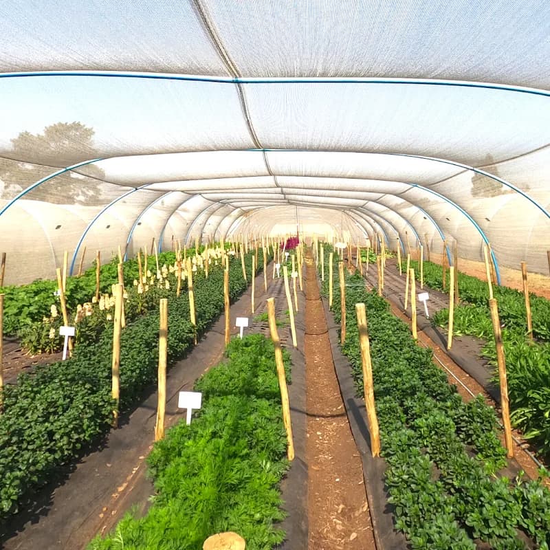 Rent A Greenhouse in Kempton Park