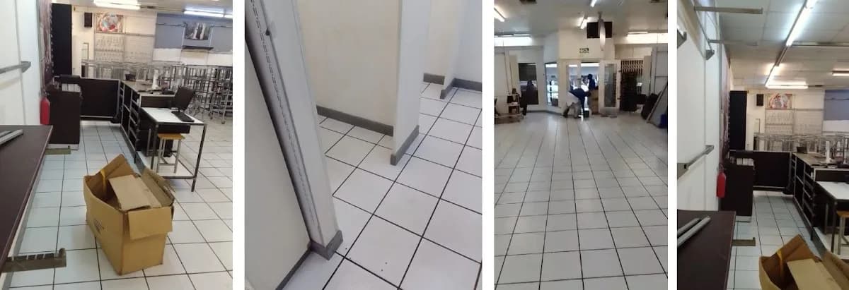 Pest Control in East London CBD