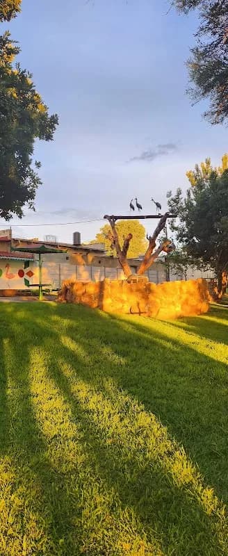USR Florida Wonder Garden & Plumbing in Florida