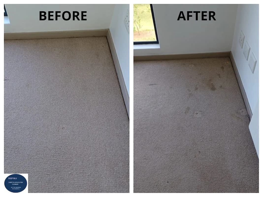 Deep Blu~ Carpet & Upholstery Cleaners in Ballito CBD