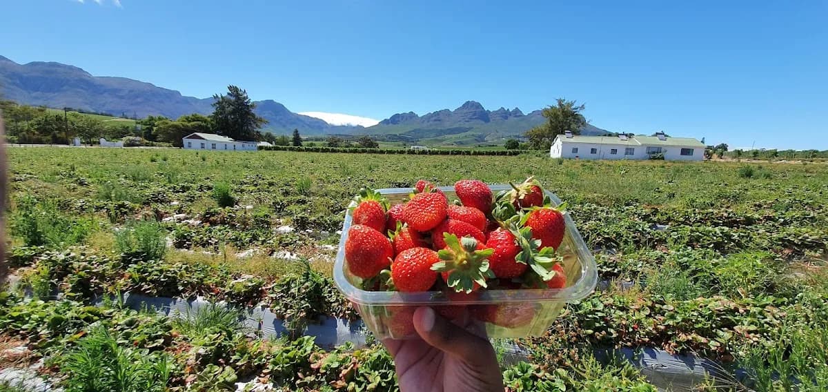 Mooiberge Farmstall in Parow