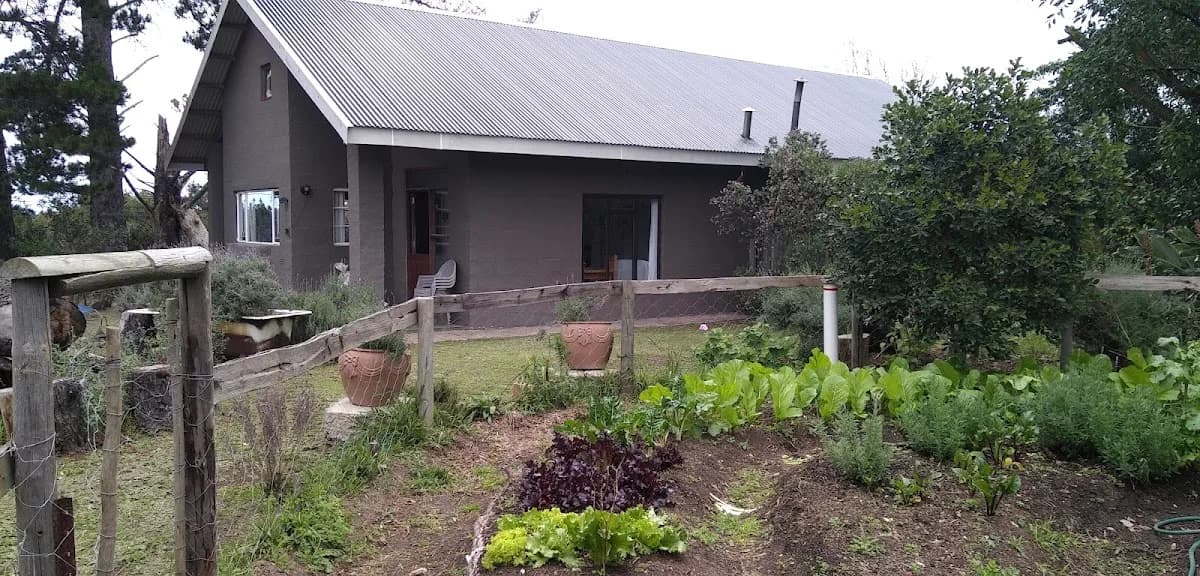 Mountview Farm Escape in George South