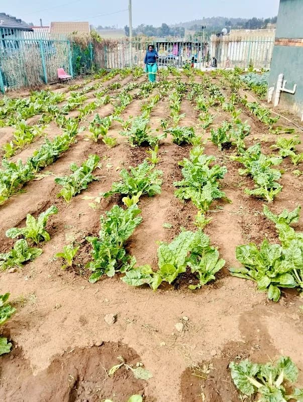 Mkhani Agriculture Pty Ltd in Diepkloof