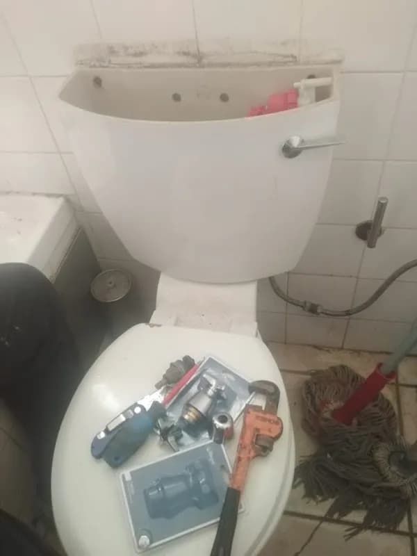 Reggies Plumbing and Electrical in Arcadia