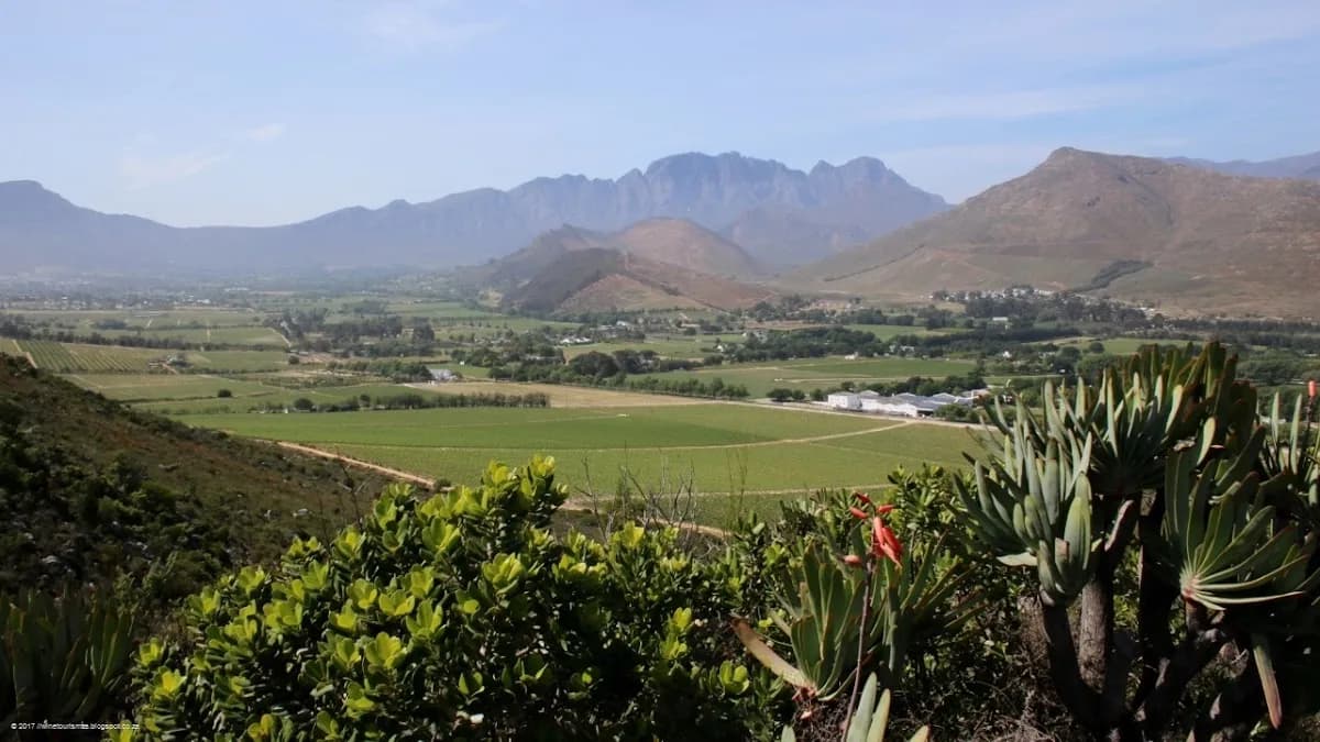Franschhoek Wine Valley in Franschhoek