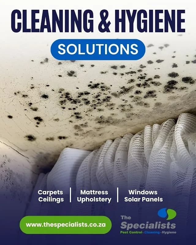 Cleaning Specialists™ Garden Route in Heatherlands