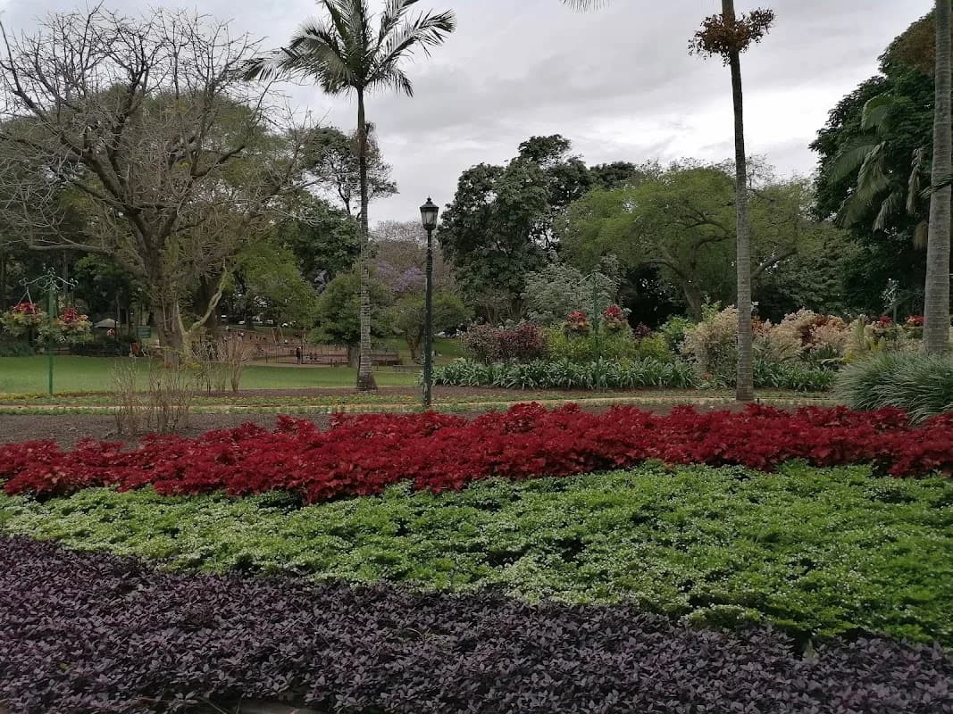 Mitchell Park in Morningside