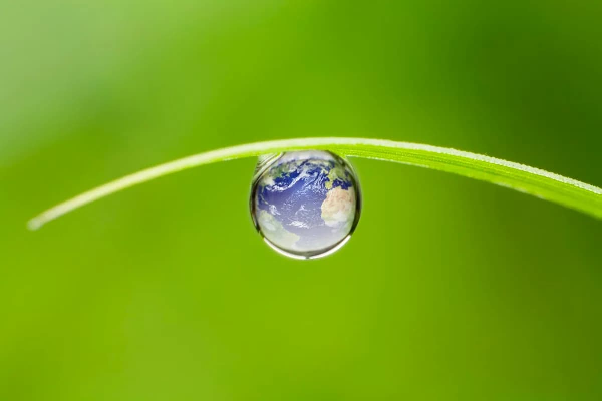 Envirosure Underwriting Managers (Pty) Ltd in Glenwood