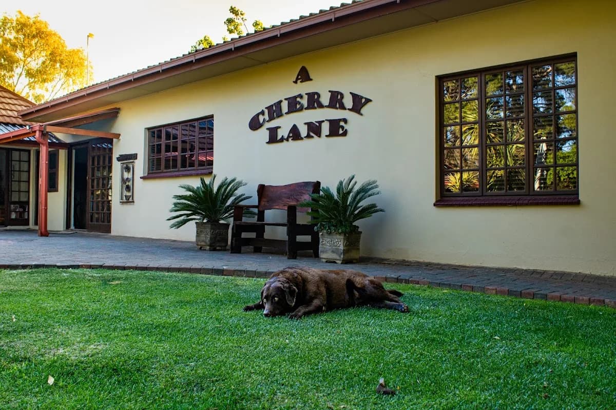 A Cherry Lane Self Catering and B&B in Mangaung