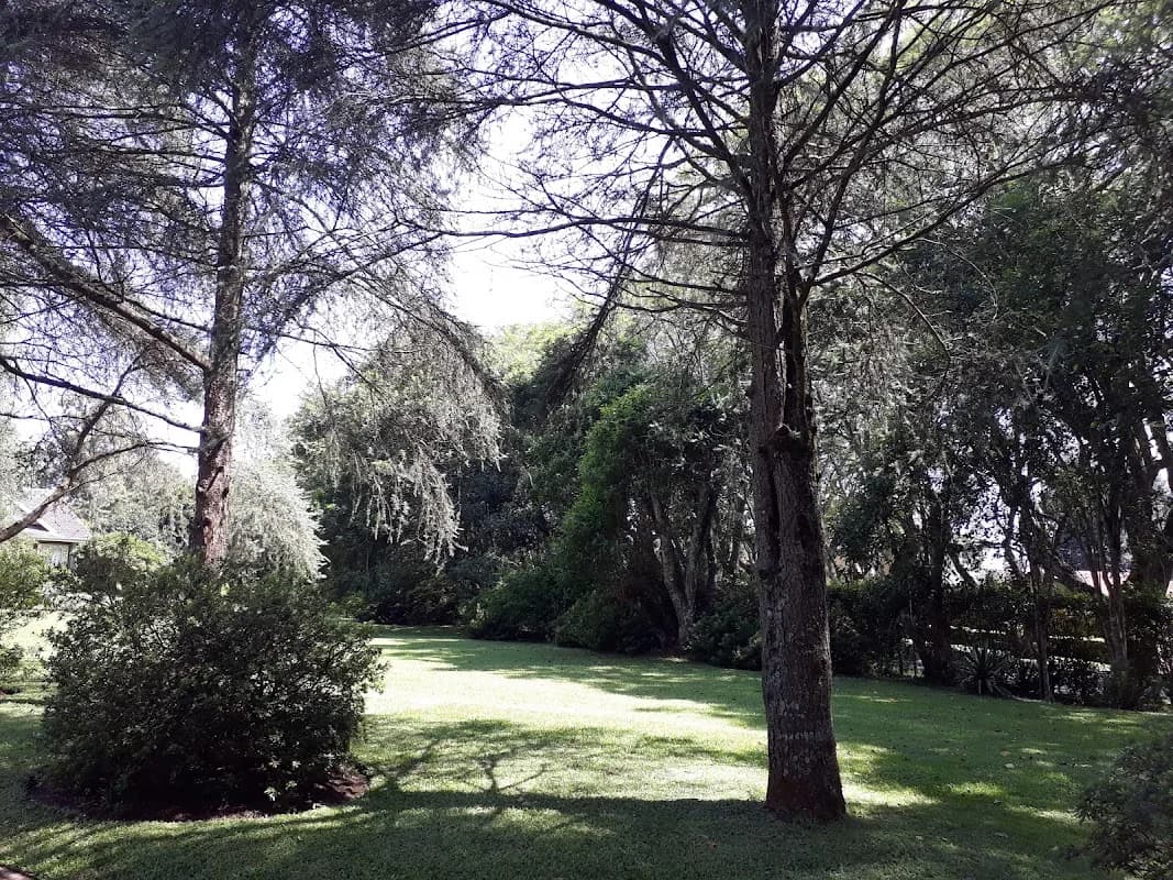 Thorne Management Systems in Hillcrest