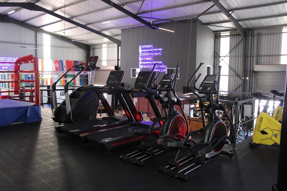 ProAction Fitness & Fight Gym in Phoenix