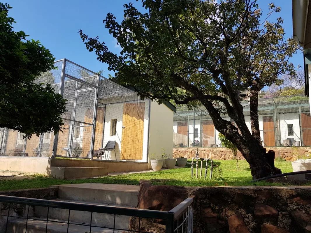 Purrfect Place Luxury Cat Hotel in Northcliff