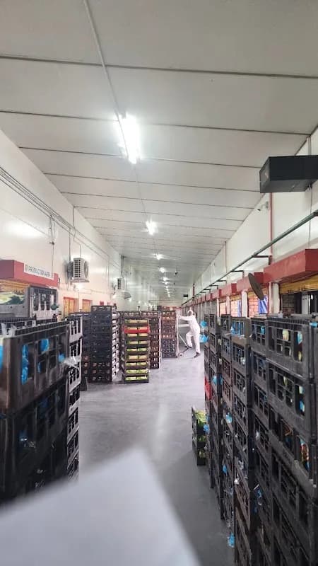TFS Energy in Fourways