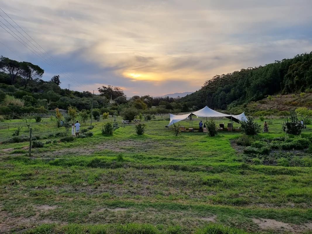 Bloublommetjieskloof biodynamic farm in Wellington