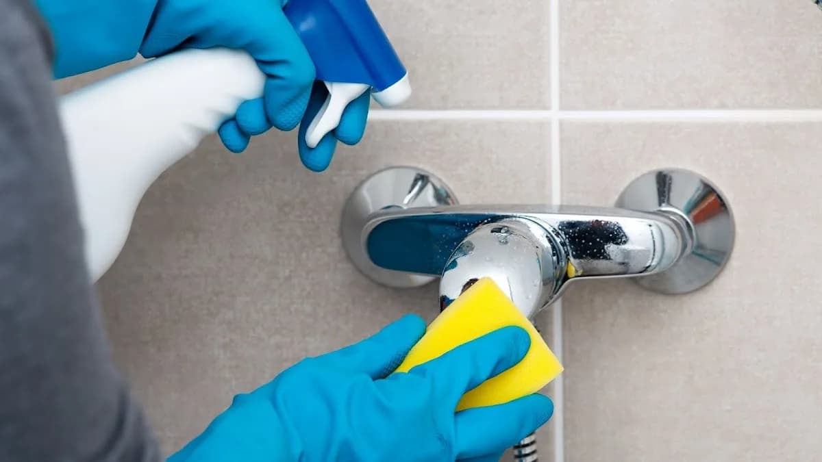 Clean Queens - Cleaning Service Johannesburg in Alberton