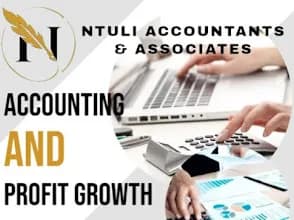 Ntuli Accountants and Associates in Del Judor