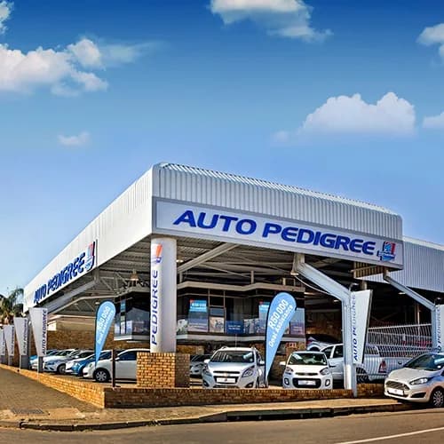 Auto Pedigree Krugersdorp in Krugersdorp CBD