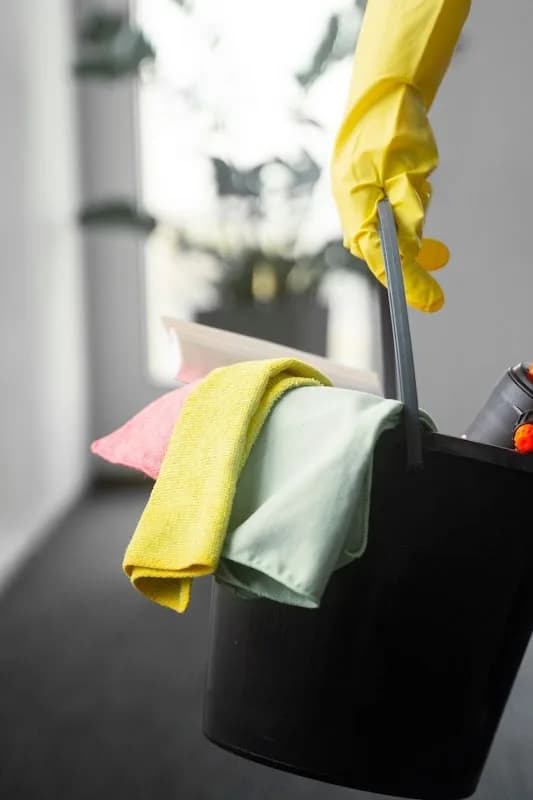 Squeaky clean home hygiene and laundry in Riebeeckstad