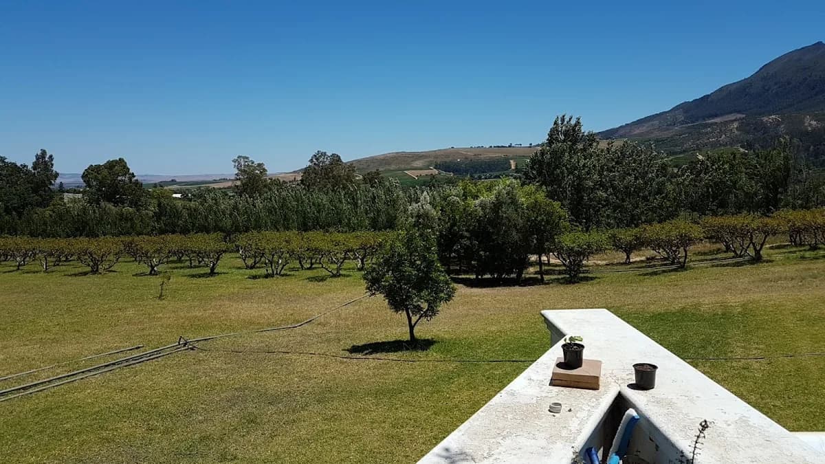 Canetsfontein Wine, Olives, Fruit and Vegetable estate in Wellington