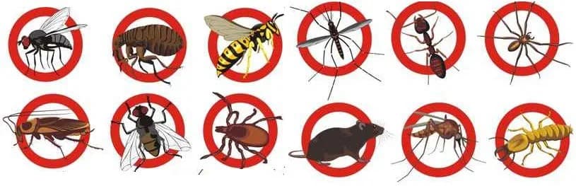 Amgp Cleaning & Pest Control Services in Jabi