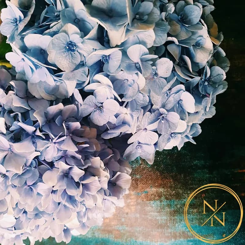 Nova Nouvelle Event Style Studio in Paarl CBD