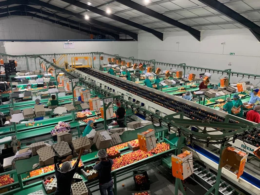 MG AGRI TRADE/DELMONTES TRADINGS Pty Ltd in George CBD