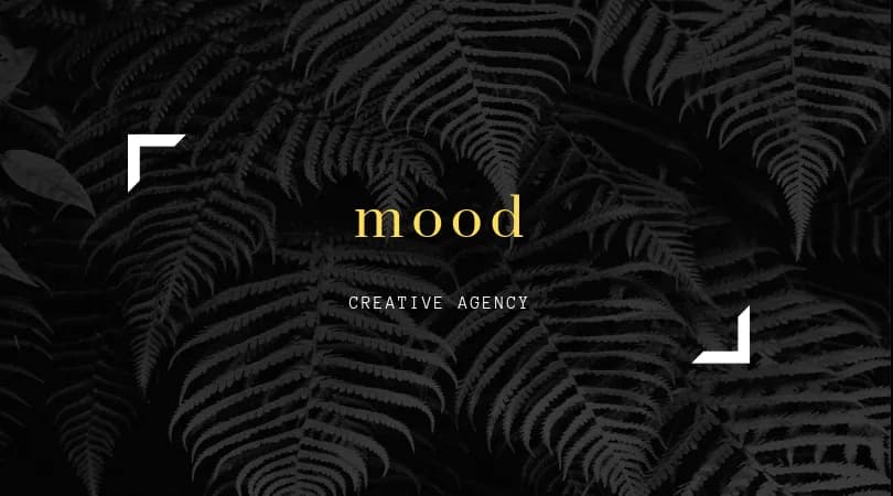 The Mood Agency in Boland Park