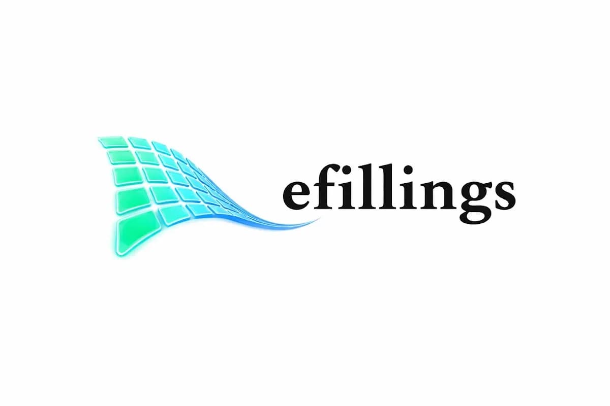 eFillings Tax Services in Benoni CBD
