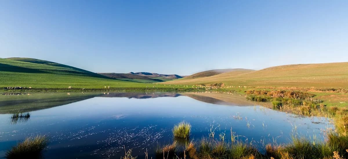 Agri Wes-Kaap / Agri Western Cape in Tokai