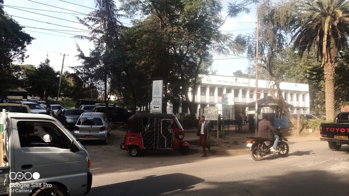 Arusha Tourist & Diplomatic Police station in Tourism Strip