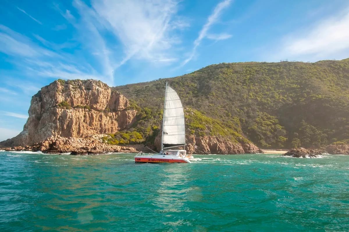 Knysna Heads Explorer Catamaran in Thesen Island