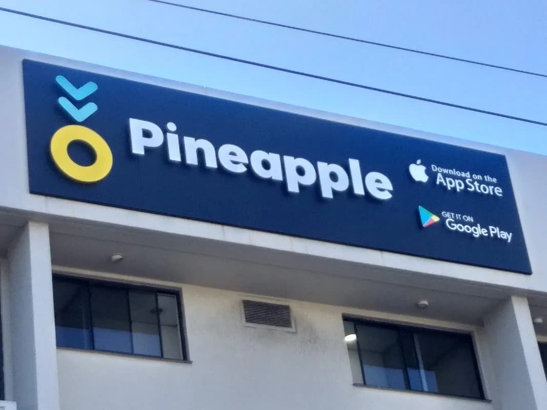 Pineapple in Alexandra