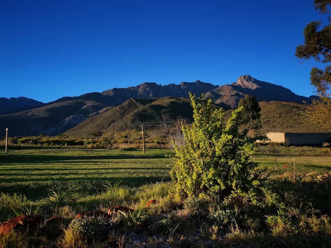 Patryskloof Guest Farm,Nonna,DeWet in Boland Park