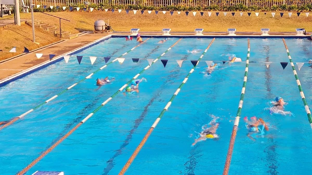Penguins Swimming Club in Scottsville