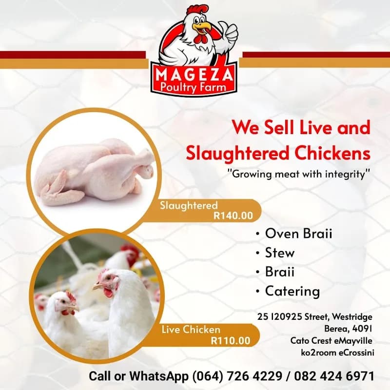 MAGEZA POULTRY FARMER in Berea