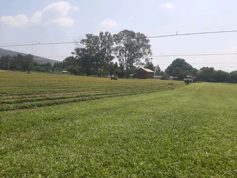 Instant Lawn Midrand (Pty) Ltd in Midrand CBD