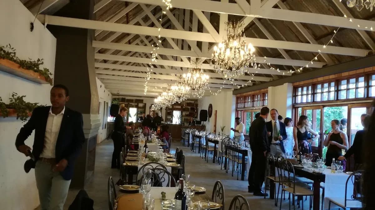 Winery Road Forest in Gordon's Bay