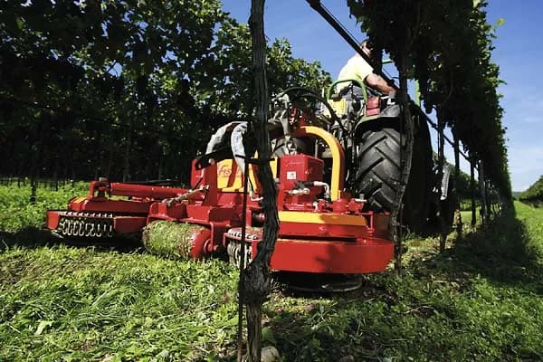 Orchard Agri Group in Worcester CBD